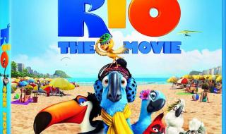 里约奥运会女排观后感 里约奥运会女排观后感